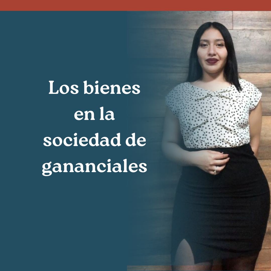 Los bienes en la sociedad de gananciales